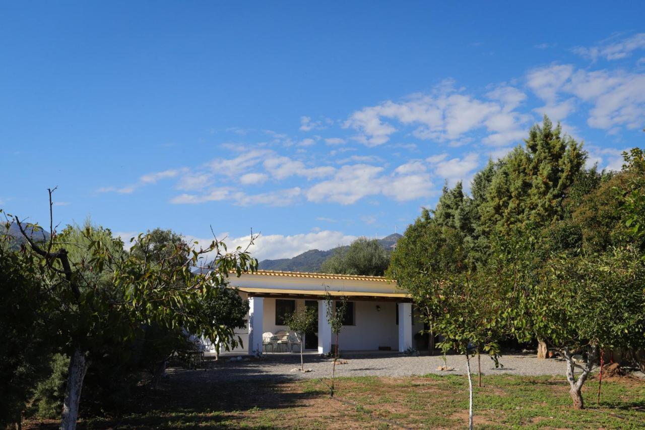 Lavender Farm House 纳弗帕克托斯 外观 照片